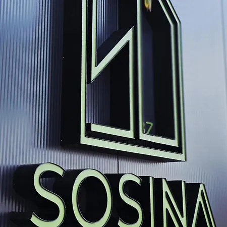 Sosina Dreams Holiday home